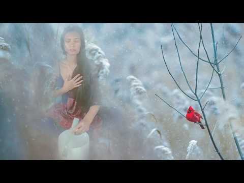 Guided Meditation - Hold Your Center