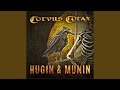 Hugin Munin Single Edit