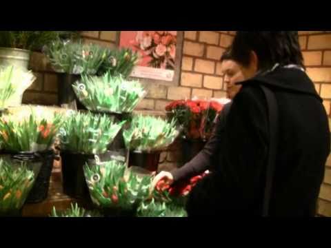 Tulpanens Dag.wmv