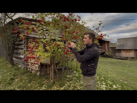 Hidden people in the Ukrainian mountains. The lost world of the Carpathians. Life in the mountains.