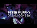 Peter Murphy - Dream gone by (drum cover)