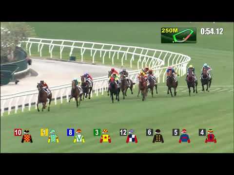 6/2/2022 (401) Bingo Bingo - D Moor