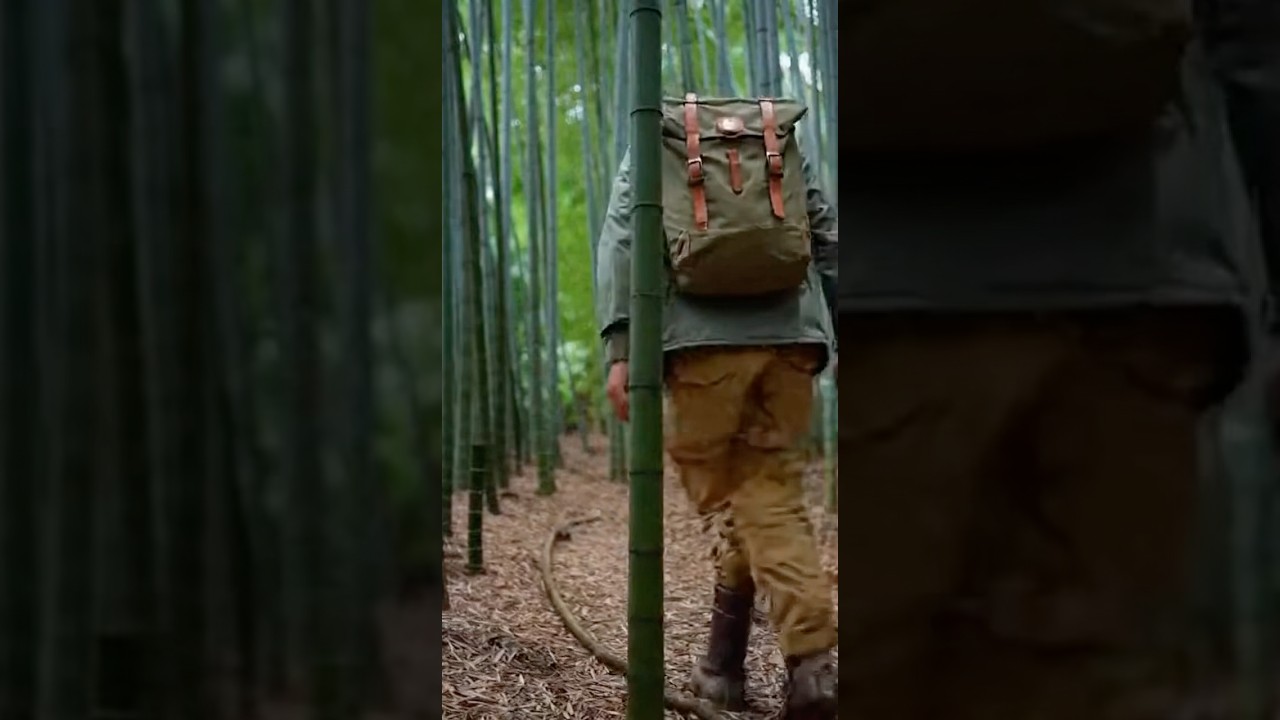 Survival Skills & Tips🔥#survival #bushcraft #camping #outdoors #lifehacks