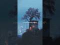 Main Agar Kitabon Se Chura Ke Laaun Atifaslam Shortvideo Lyricalstatus Aestheticvideo Mainagar