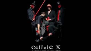 Cellule X - Cellule Hit + lyrics