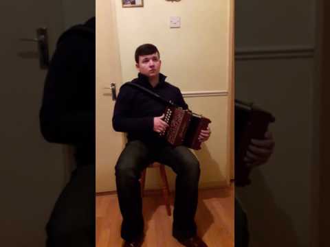 Brandoni Meg 21 key 2 voice accordion