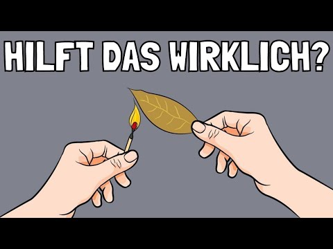 Warum du ein Lorbeerblatt in deinem Zimmer verbrennen solltest!