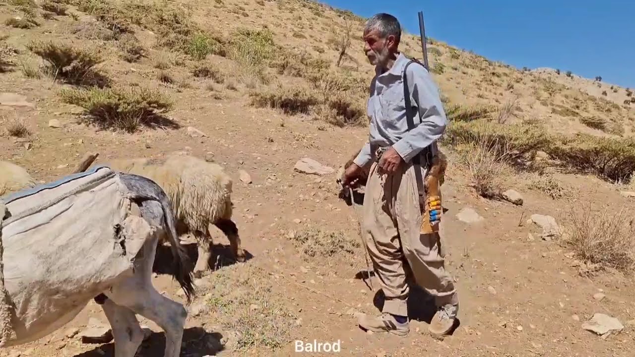 Iran nomadic life: Jahangir's journey to pastures and a butchery to prepare meat in the mountains