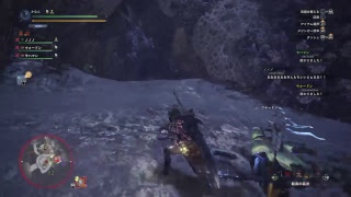 [MHW]雑談タロトとか[初見歓迎]