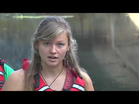 Paddeln auf der Oberen Donau