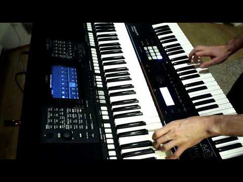 Miro Žbirka - 22 dní LIVE keyboard instrumental cover