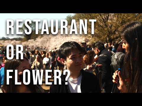 Play Video Youtube Video