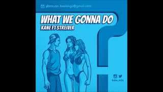 (Summer Anthem) What we gonna do - Kane ft Streiver (Radio Version)