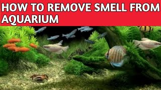 How to remove bad smell from Aquarium | How to remove odor from fish tank .