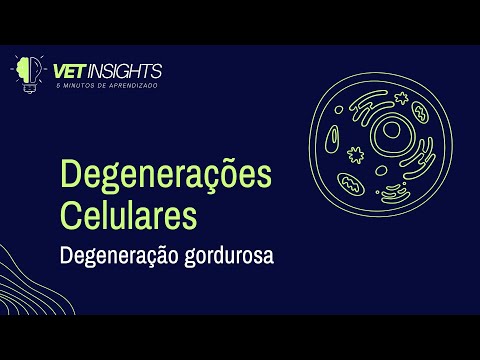 7. Degeneração Gordurosa