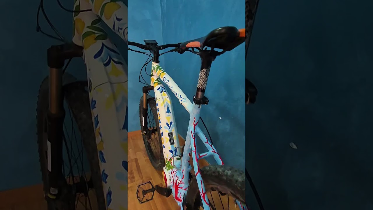 Terra mia E-Bike MTB (167 - 184 cm)