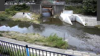 野川映像監視局