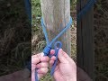 How to tie a hangman's noose knot  #knot #usefulknot #rope