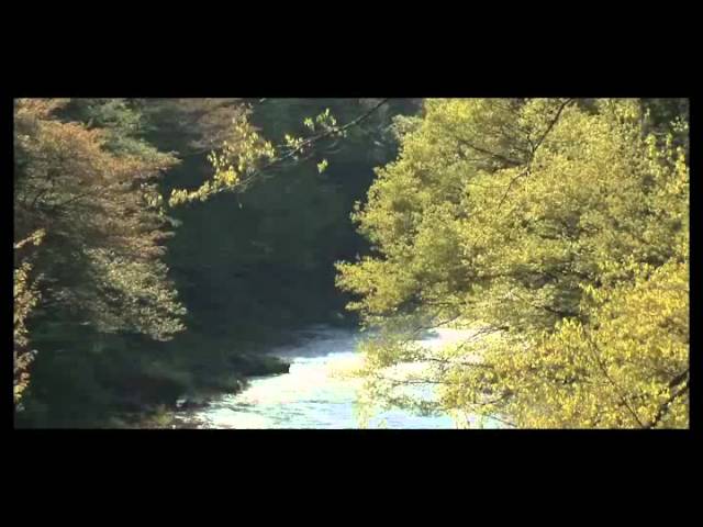 映画『五日市物語』予告編