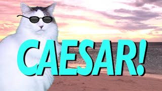 HAPPY BIRTHDAY CAESAR! - EPIC CAT Happy Birthday Song