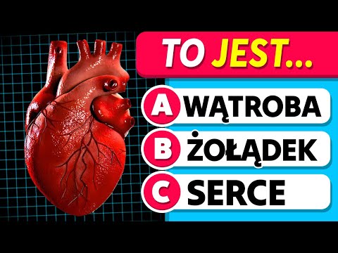 Jak Dobrze Znasz Ludzkie Ciało? | Części ciała | Quiz Wiedzy Ogólnej