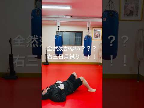 [キックボクシング　格闘技　痛い] 全然効かない？？　右三日月蹴り！！！　#キックボクシング #格闘技 #痛い