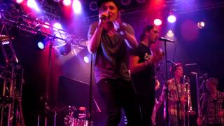 Kuningasidea - Prinsessa