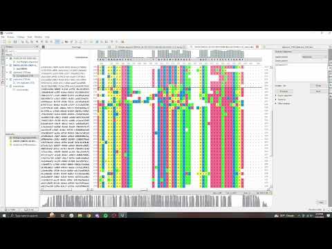 Ugene editing - Phasing out multiple haplotypes in a Nanopore sequence