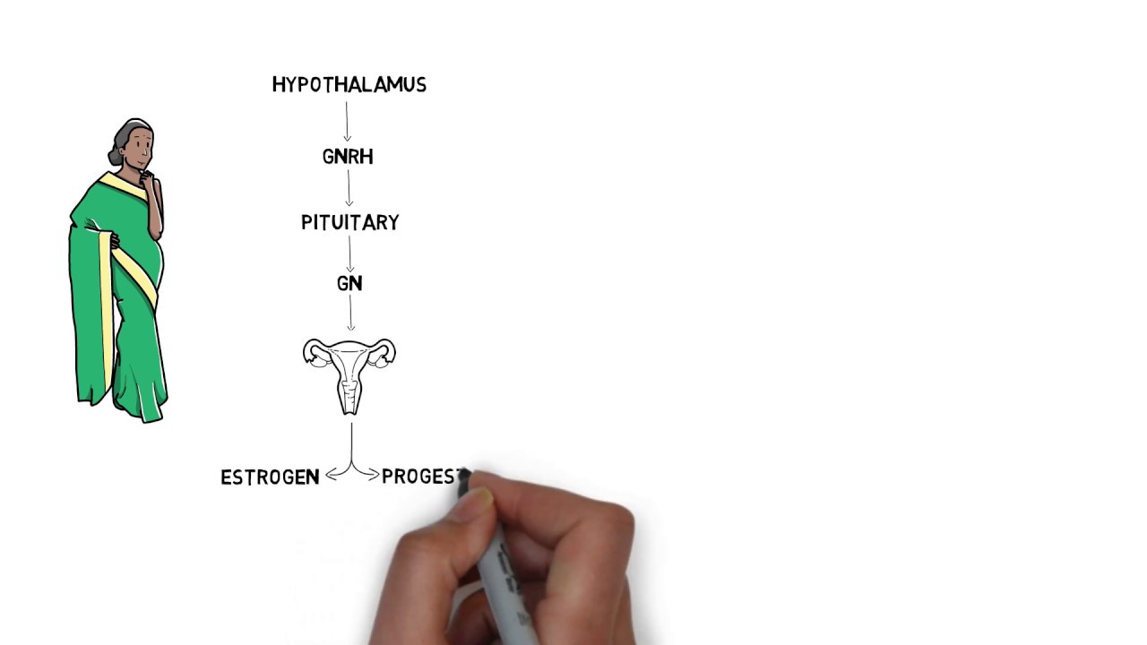 Selective Estrogen Receptor Modulators - YouTube