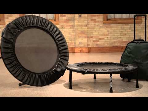 Dave Welcomes You to the New Cellercise® Website - Cellercise®