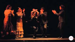 Olga Pericet - Pisadas