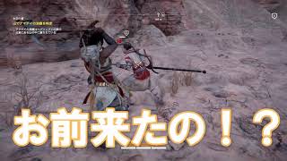 「ASSASSIN'S CREED ORIGINS 」実況　第4弾！