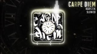Download lagu Ogryzek - CARPE DIEM Slowed ( Visualiser) mp3 Download lagu Ogryzek - CARPE DIEM Slowed ( Visualiser) mp3
