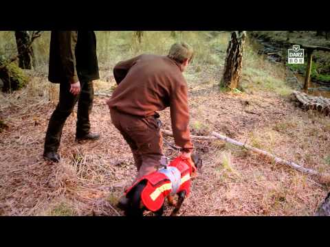 Darz Bór zapowiedź odcinka 139