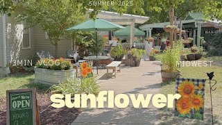 3min weekend vlog🌻 | ひまわり畑 | sunflower in the midwest