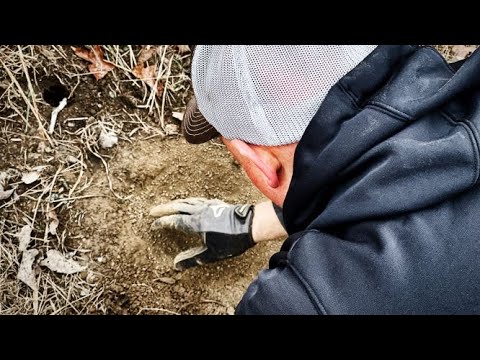 Predator trapping in southeast Missouri