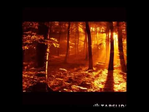 NIGHTCORE LOVE X STEREO HIDE AND SEEK