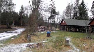 preview picture of video 'Dziwne dźwięki w lesie Polska / Strange sound in Poland 15.01.2012'