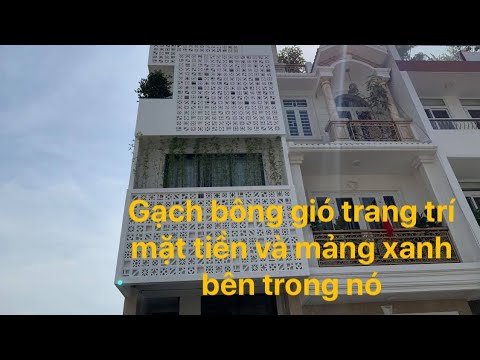 Gạch bông gió trang trí mặt tiền nhà phố và mảng xanh bên trong nó - Kho Tư liệu Xây dựng