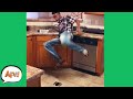 FREAKED OUT By the FAIL! 🤣 | Funniest Pranks | AFV 2021