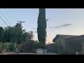Two Bats Flying Over The Pool