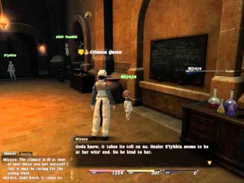 Final Fantasy 14 Alchemist LvL 20 Quest