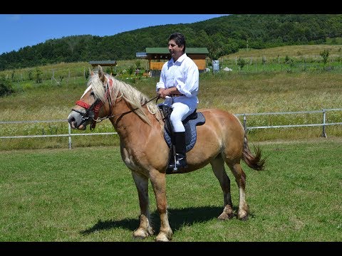 OVIDIU PURDEA SOMEȘ- Pentru o mândră din Ardeal