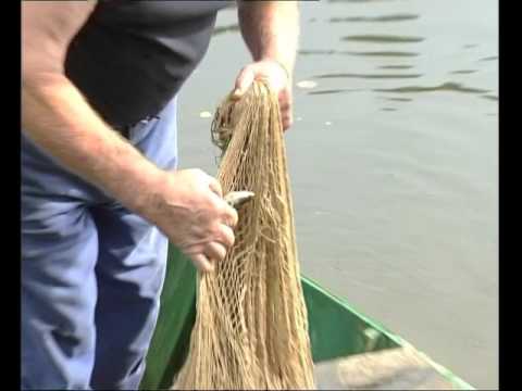 La pesca a l'esparvièr