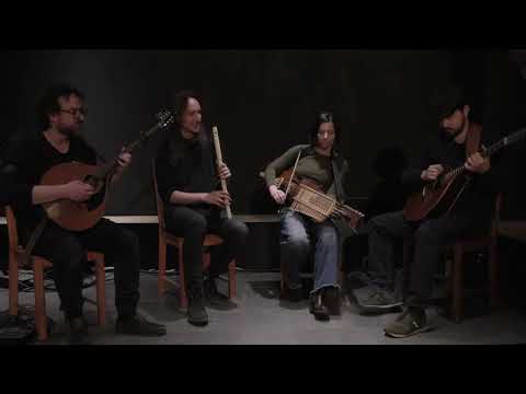 Light Migrations - Foxes (valse à 5 temps)