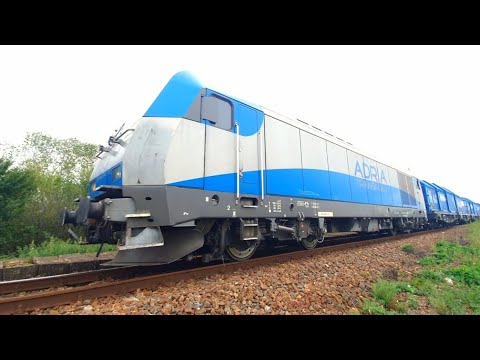 Marfar LTE- Halta Săbolciu-  Bihor- 24.09.2023