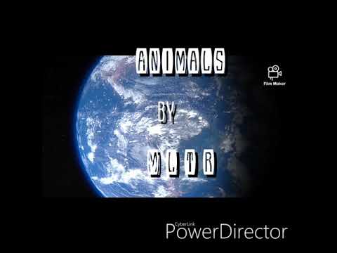 Animals - Michael Learns To Rock