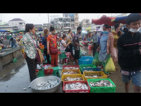 Big Site Distributies Fish & SeaFood @Chhbar Ampov - Morning Daily Activities of People Buying Fish