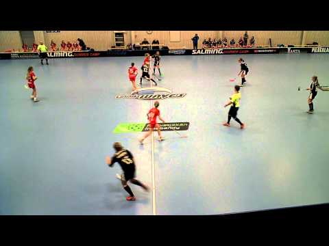 Newbody Cup F14 141122  Lindås IBK - FBC Lerum (5-1) HD Per2