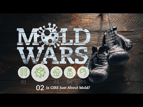 Chronic Inflammatory Response Syndrome: Is mold really the issue?